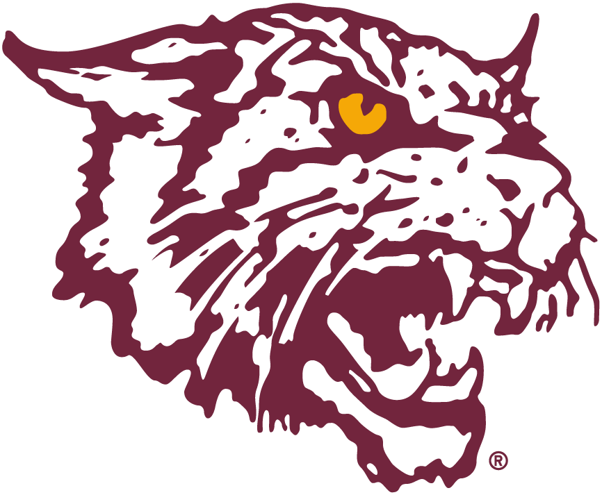 Bethune-Cookman Wildcats 2000-2015 Alternate Logo v2 DIY iron on transfer (heat transfer)